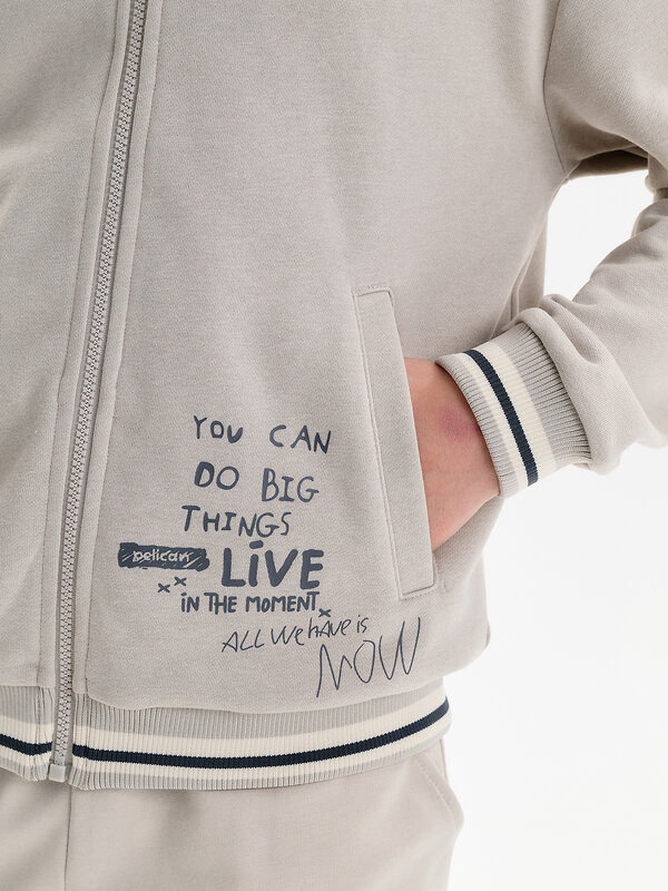 PELICAN Толстовка 581460 BFX3389 Светло-серый