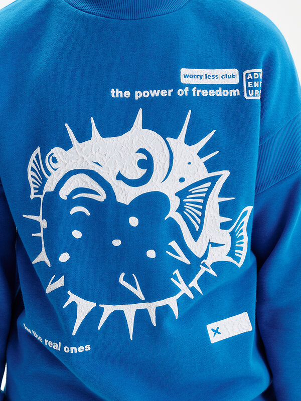 PELICAN Толстовка 581602 BFN3389/2 Лазурный