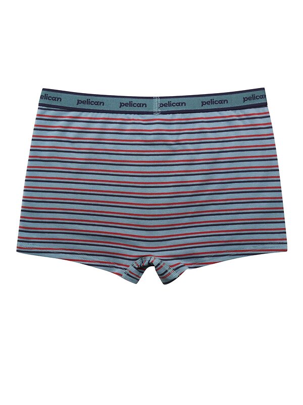 PELICAN Трусы 581633 BUHB3378(2) Джинс/джинс