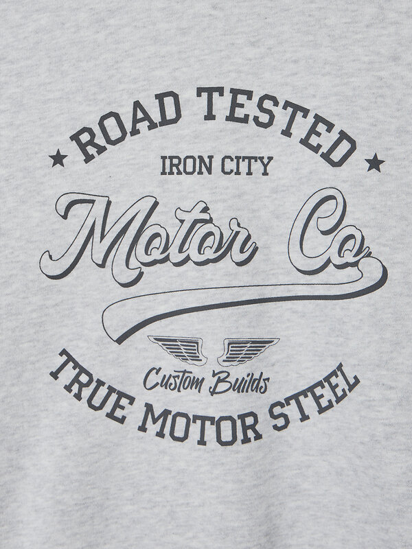 MARK FORMELLE Свитшот 581710 123447 серый меланж +печать