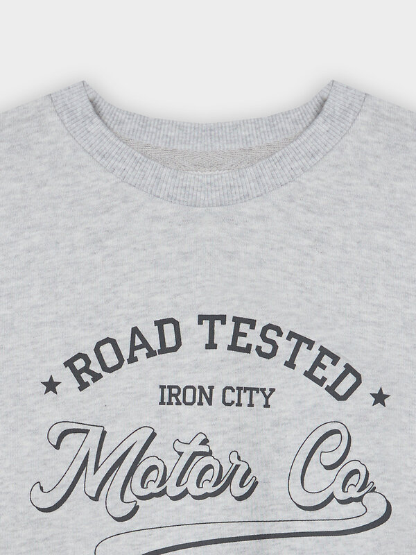 MARK FORMELLE Свитшот 581710 123447 серый меланж +печать