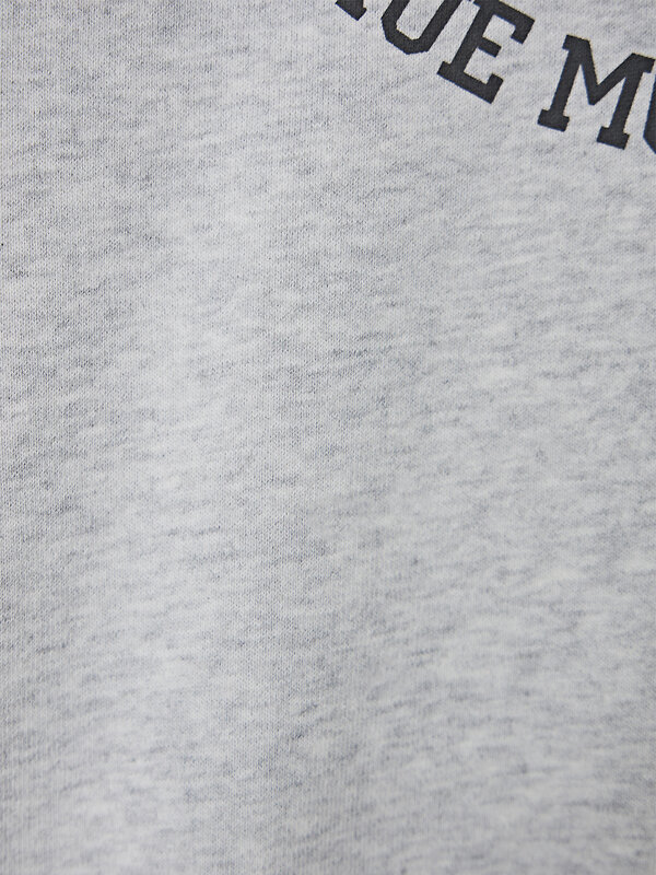 MARK FORMELLE Свитшот 581710 123447 серый меланж +печать