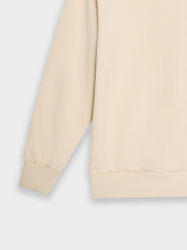 MARK FORMELLE Толстовка 581716 123458 туман +печать