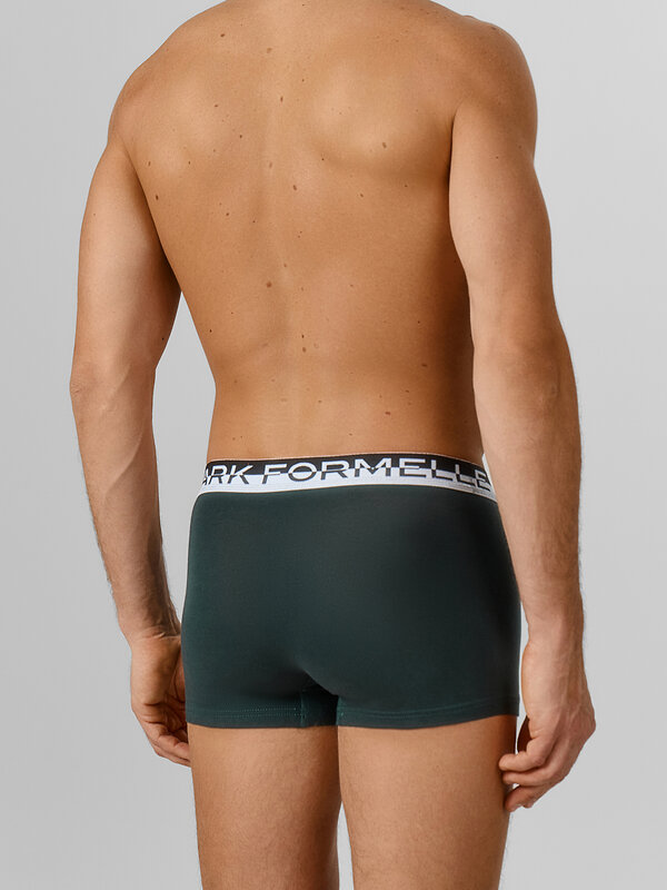 MARK FORMELLE Трусы 581740 411228-3 зеленый бархат +темный кармин +черный