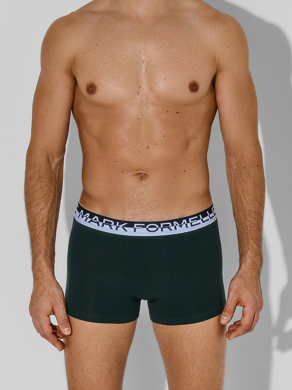 MARK FORMELLE Трусы 581740 411228-3 зеленый бархат +темный кармин +черный