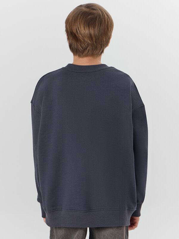 MARK FORMELLE Свитшот 581828 123495 графит +печать