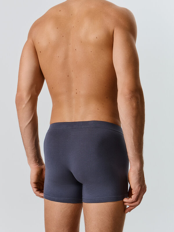 MARK FORMELLE Трусы 581850 411220 графит