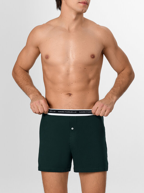 MARK FORMELLE Трусы 581854 411222 зеленый бархат