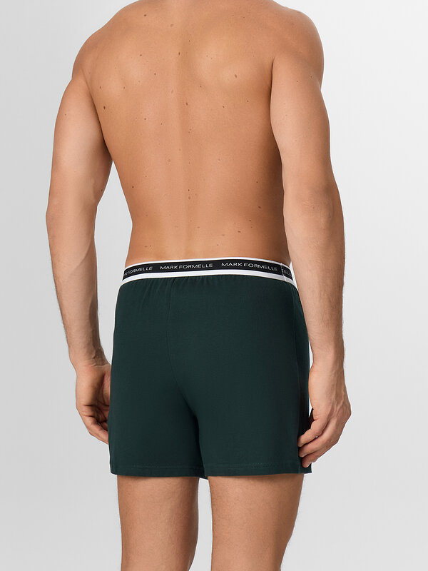 MARK FORMELLE Трусы 581854 411222 зеленый бархат