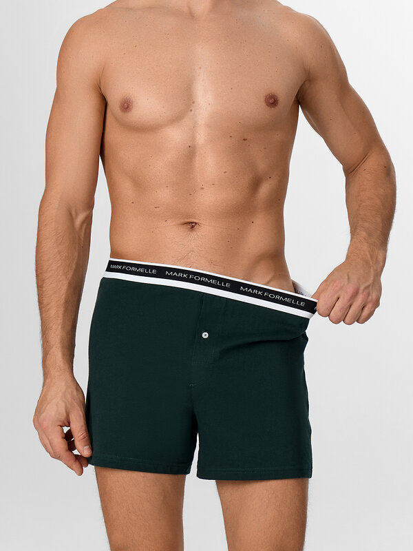 MARK FORMELLE Трусы 581854 411222 зеленый бархат