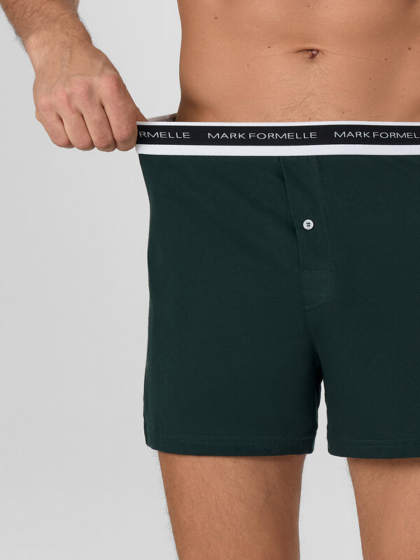 MARK FORMELLE Трусы 581854 411222 зеленый бархат