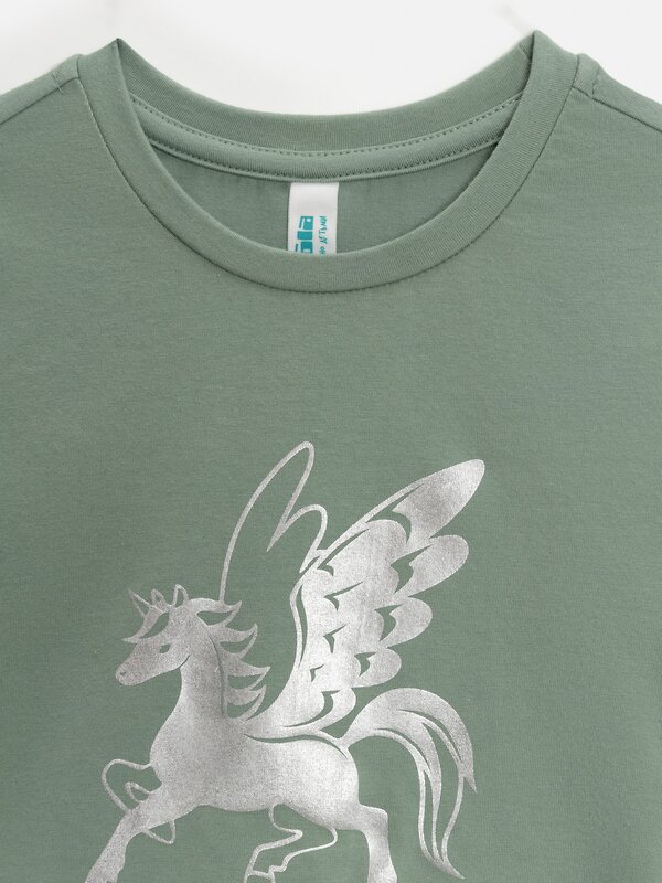 Acoola Футболка 582255 20220510203 бледно-зеленый