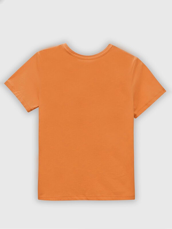 MARK FORMELLE Комплект 582366 563318 мандарин +надписи на графите