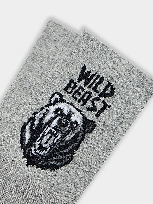 MARK FORMELLE Мужские носки 582387 140K-3350 серый меланж