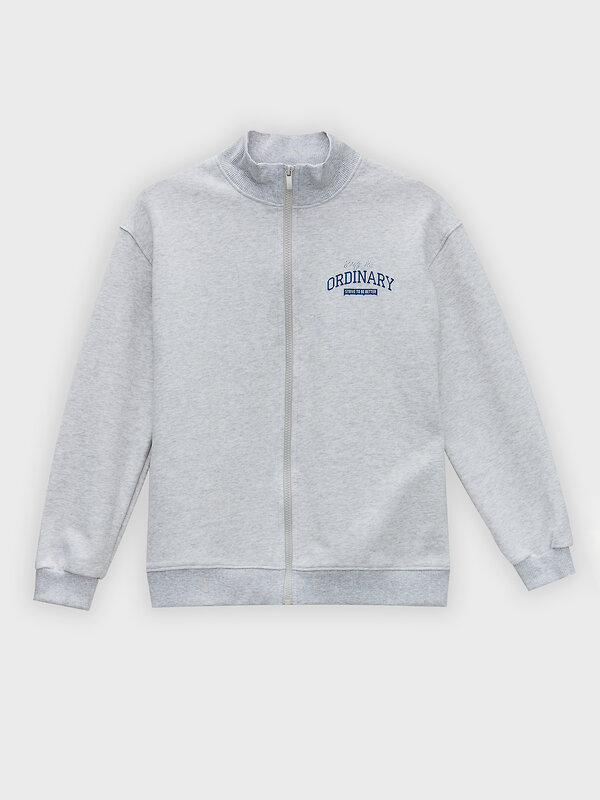 MARK FORMELLE Толстовка 582393 123448 серый меланж+печать