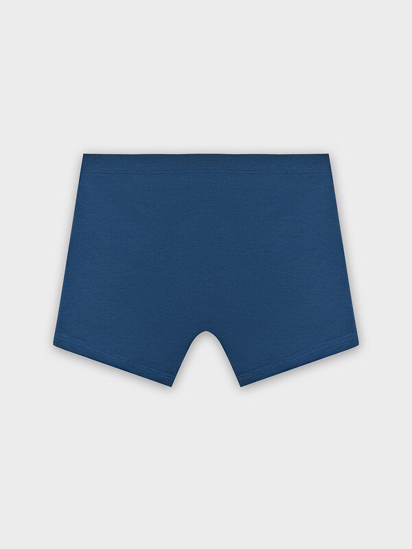 MARK FORMELLE Трусы 582825 411220 шторм