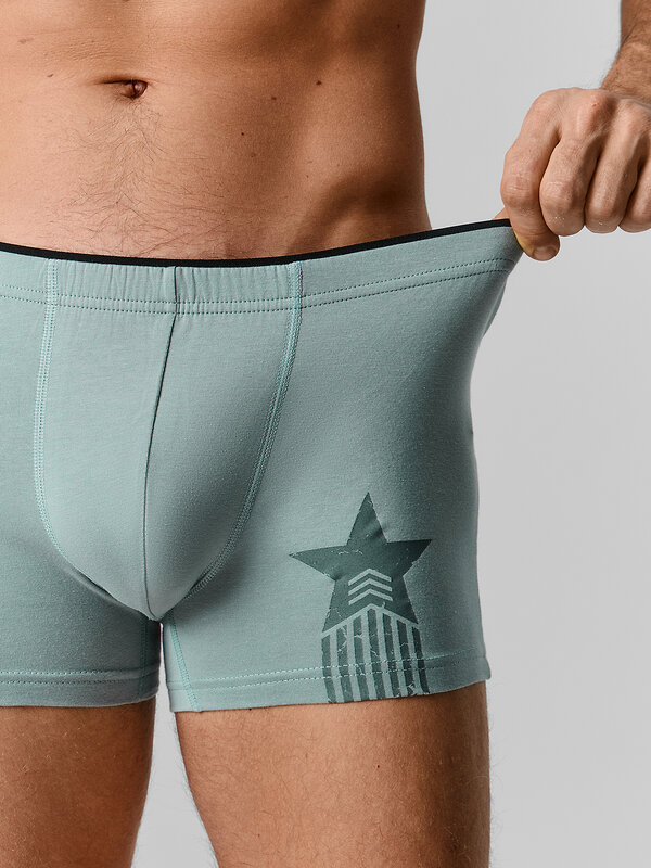 MARK FORMELLE Трусы 582831 411134-2 зеленая пастель +милитари