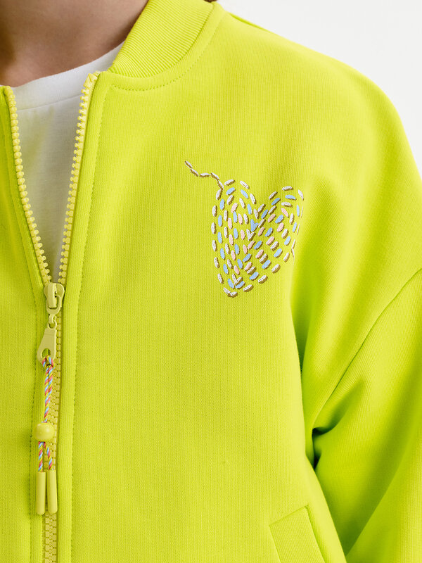 PELICAN Толстовка 583156 GFX3390/1U Яблочный