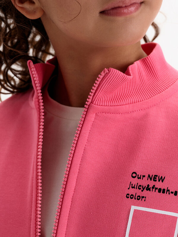 PELICAN Толстовка 583159 GFXS3388U Розовый