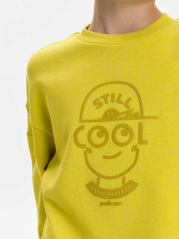 PELICAN Толстовка 583164 BFN3387U Желтый