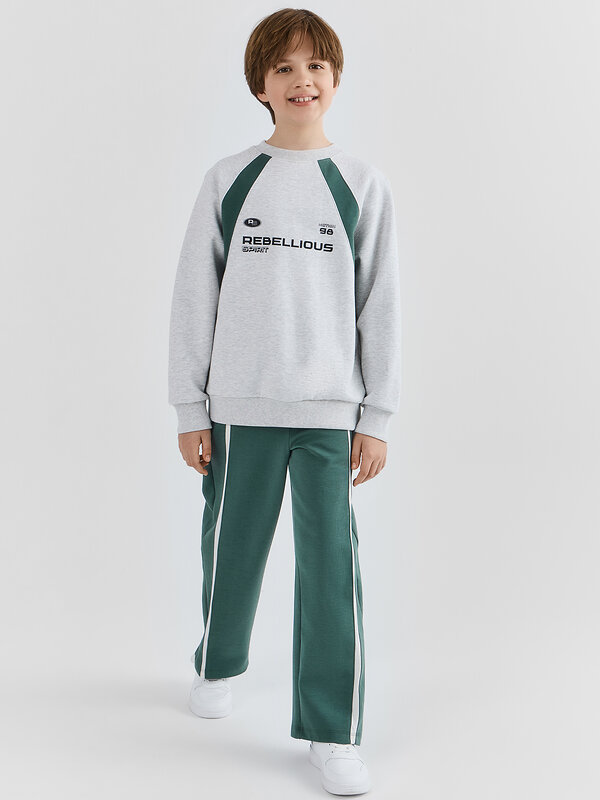 MARK FORMELLE Свитшот 583241 123500 серый меланж+печать