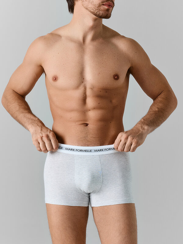 MARK FORMELLE Трусы 584034 411228 св.серый меланж