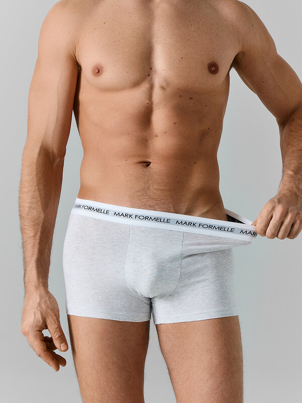 MARK FORMELLE Трусы 584034 411228 св.серый меланж