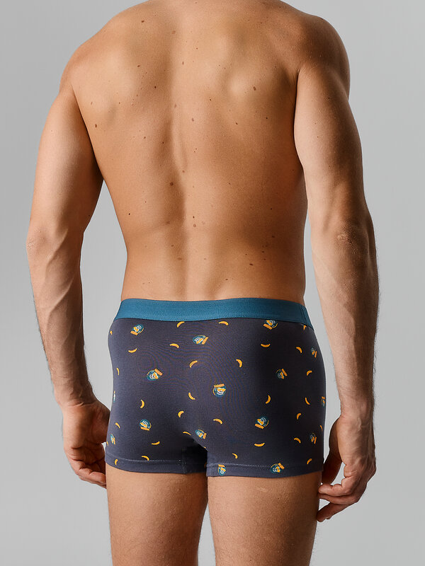 MARK FORMELLE Трусы 584070 411228-2 обезьяны на графите +морская волна