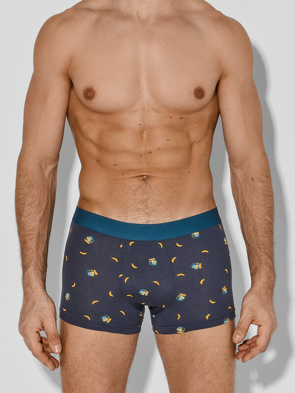 MARK FORMELLE Трусы 584070 411228-2 обезьяны на графите +морская волна