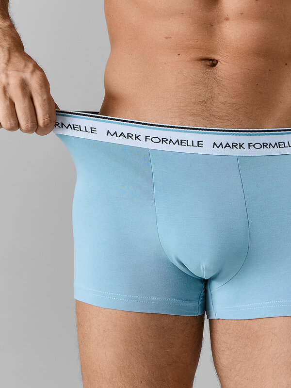 MARK FORMELLE Трусы 584073 411228-2 полынь +черный