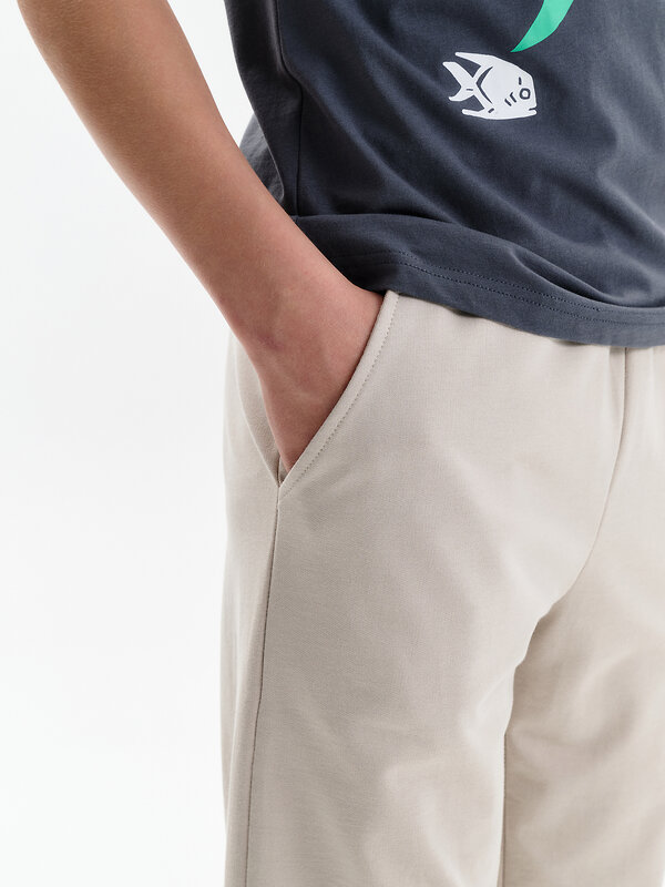 PELICAN Брюки 584198 BFP3321//1U Светло-серый