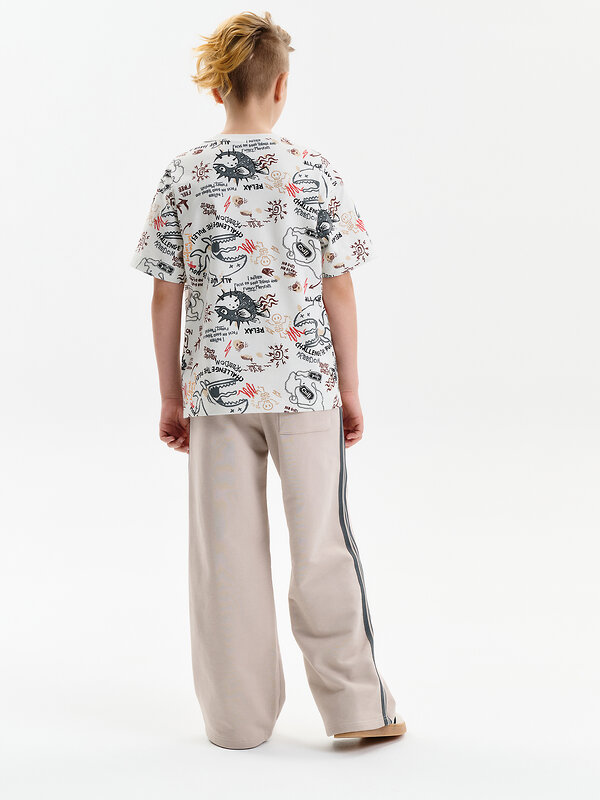 PELICAN Брюки 584205 BFPQ3389U Светло-серый