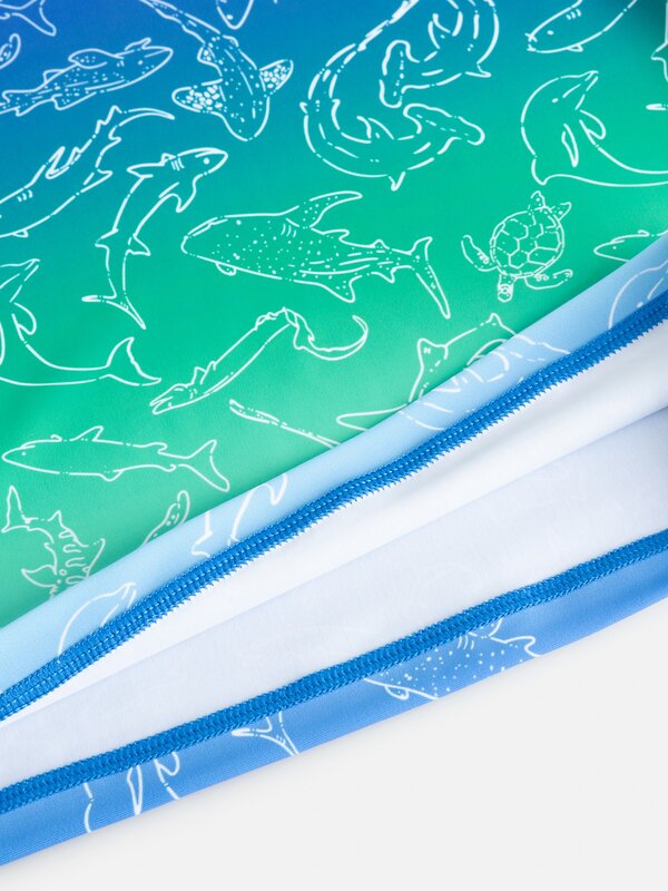 Acoola Лонгслив купальный 584361 20134790002 синий принт