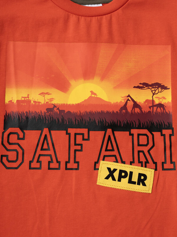 PLAYTODAY Фуфайка 584830 12612343 красный