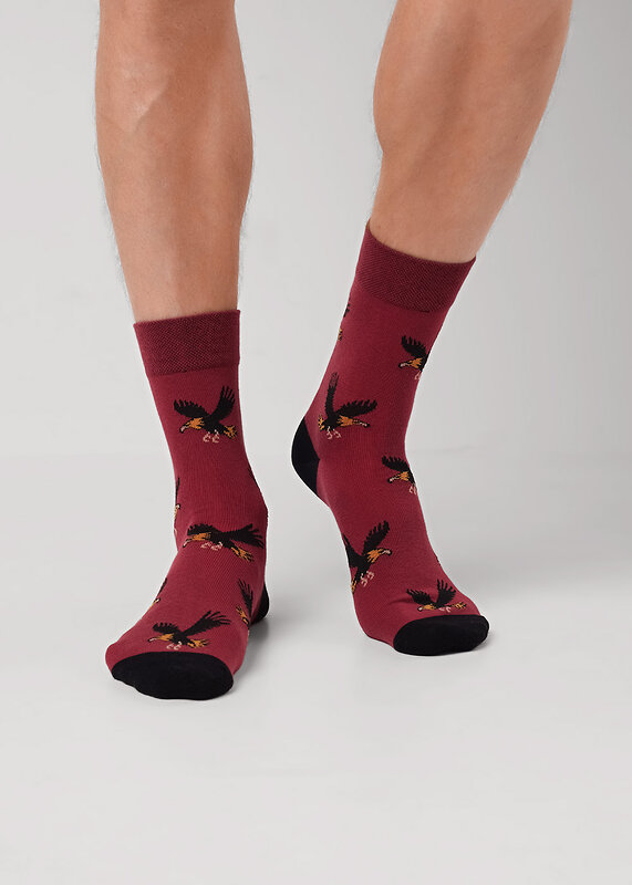 CLEVER Носки 585900 К6600 бордовый