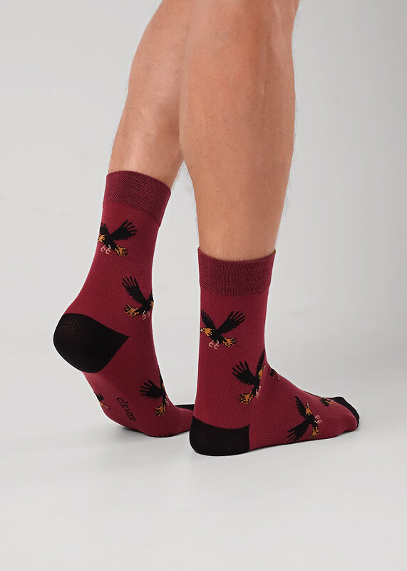 CLEVER Носки 585900 К6600 бордовый