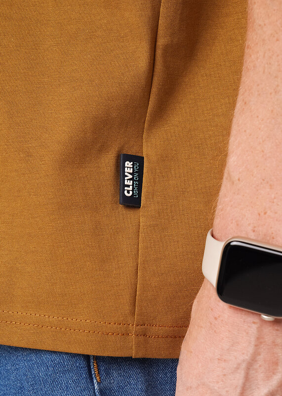 CLEVER Футболка 585944 562642/10кдт maxi_п коричневый