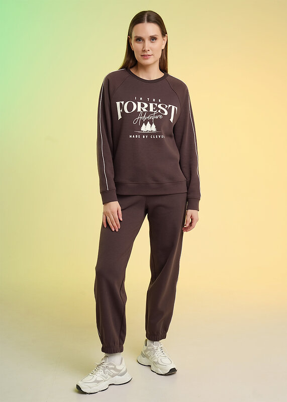 CLEVER Брюки 586162 LTR26-100/2 коричневый