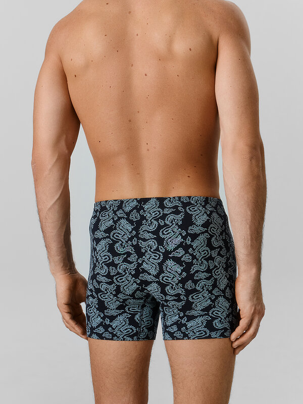 MARK FORMELLE Трусы 586849 411143 драконы на чёрном
