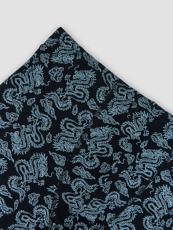 MARK FORMELLE Трусы 586849 411143 драконы на чёрном