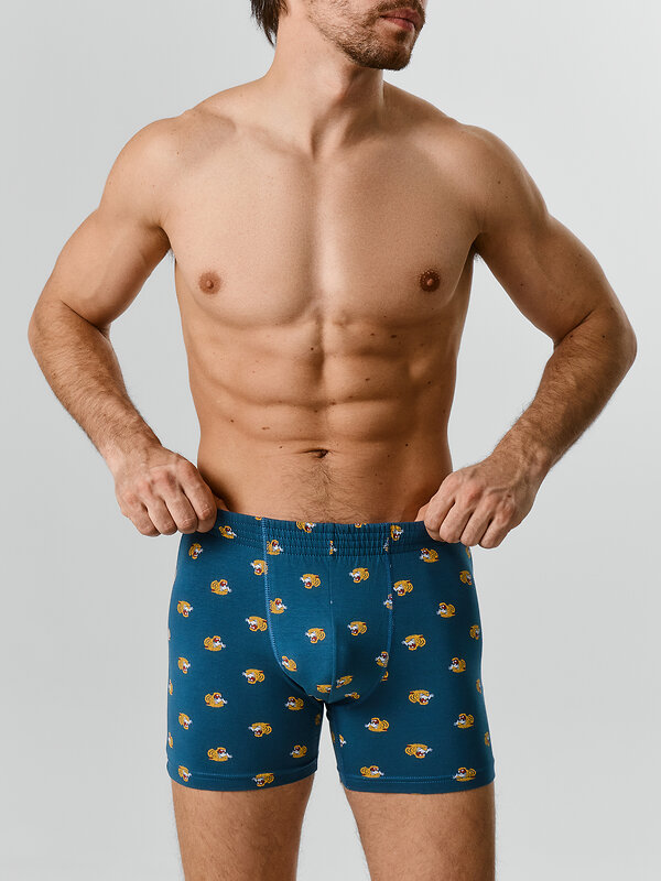 MARK FORMELLE Трусы 586851 411143 тигры на морской волне