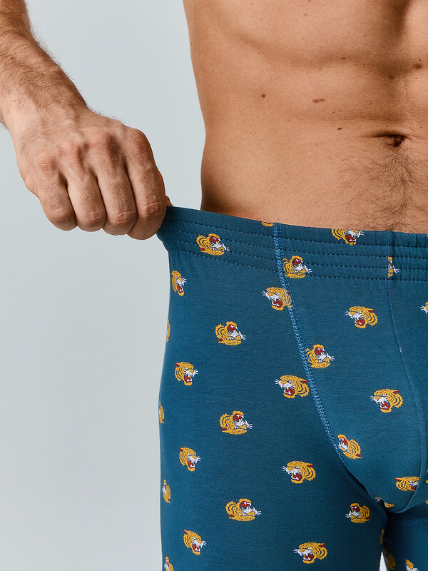 MARK FORMELLE Трусы 586851 411143 тигры на морской волне