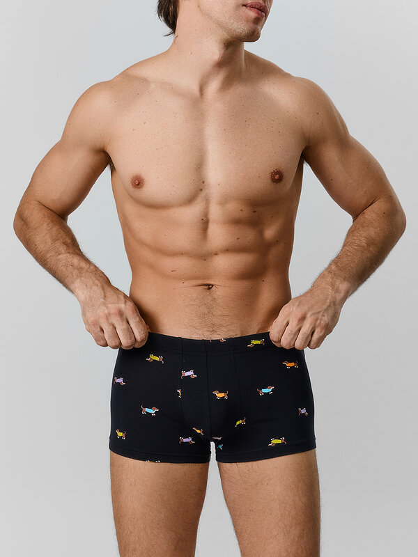 MARK FORMELLE Трусы 586855 411229 таксы на черном