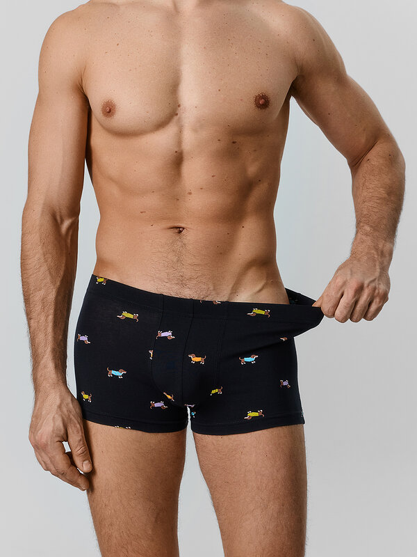 MARK FORMELLE Трусы 586855 411229 таксы на черном