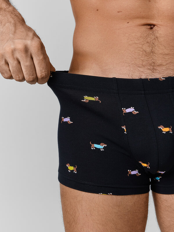 MARK FORMELLE Трусы 586855 411229 таксы на черном