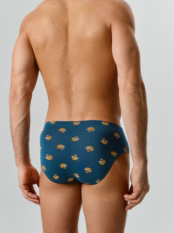 MARK FORMELLE Трусы 586858 411120 тигры на морской волне