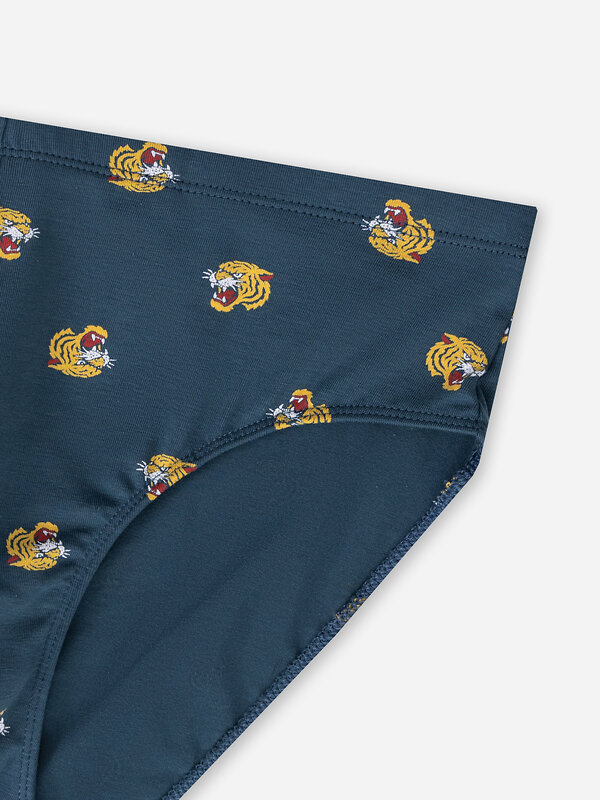 MARK FORMELLE Трусы 586858 411120 тигры на морской волне