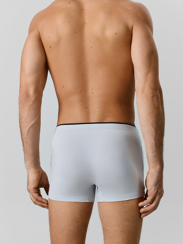 MARK FORMELLE Трусы 586862 411134-2 лунный луч +тигры на графите