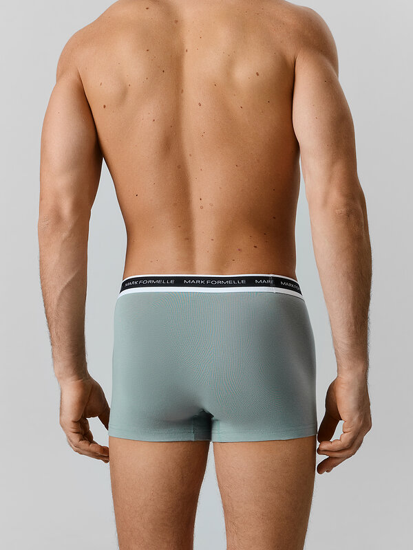MARK FORMELLE Трусы 586867 411228-3 зеленая пастель +хвойный лес +зеленый бархат