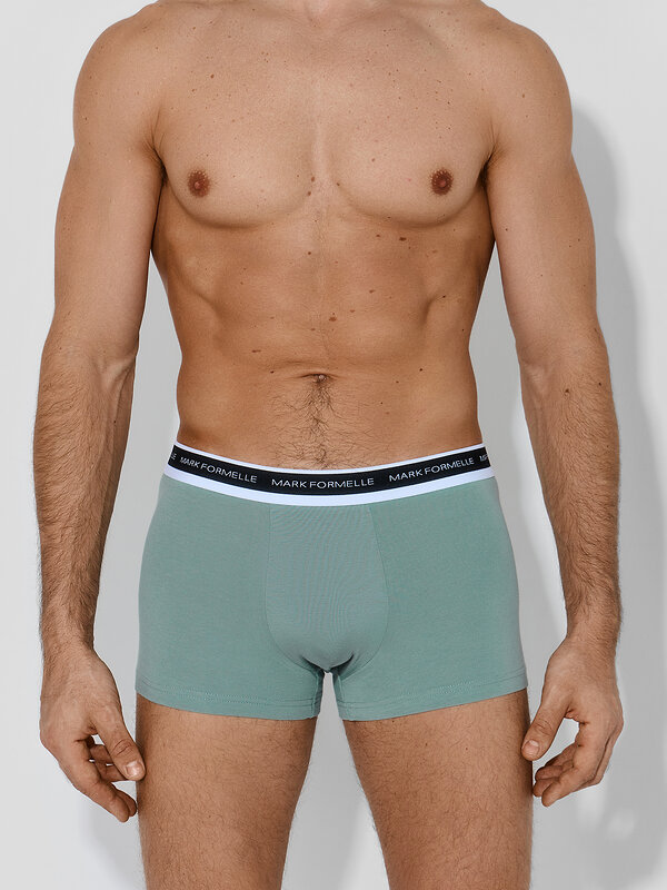 MARK FORMELLE Трусы 586867 411228-3 зеленая пастель +хвойный лес +зеленый бархат